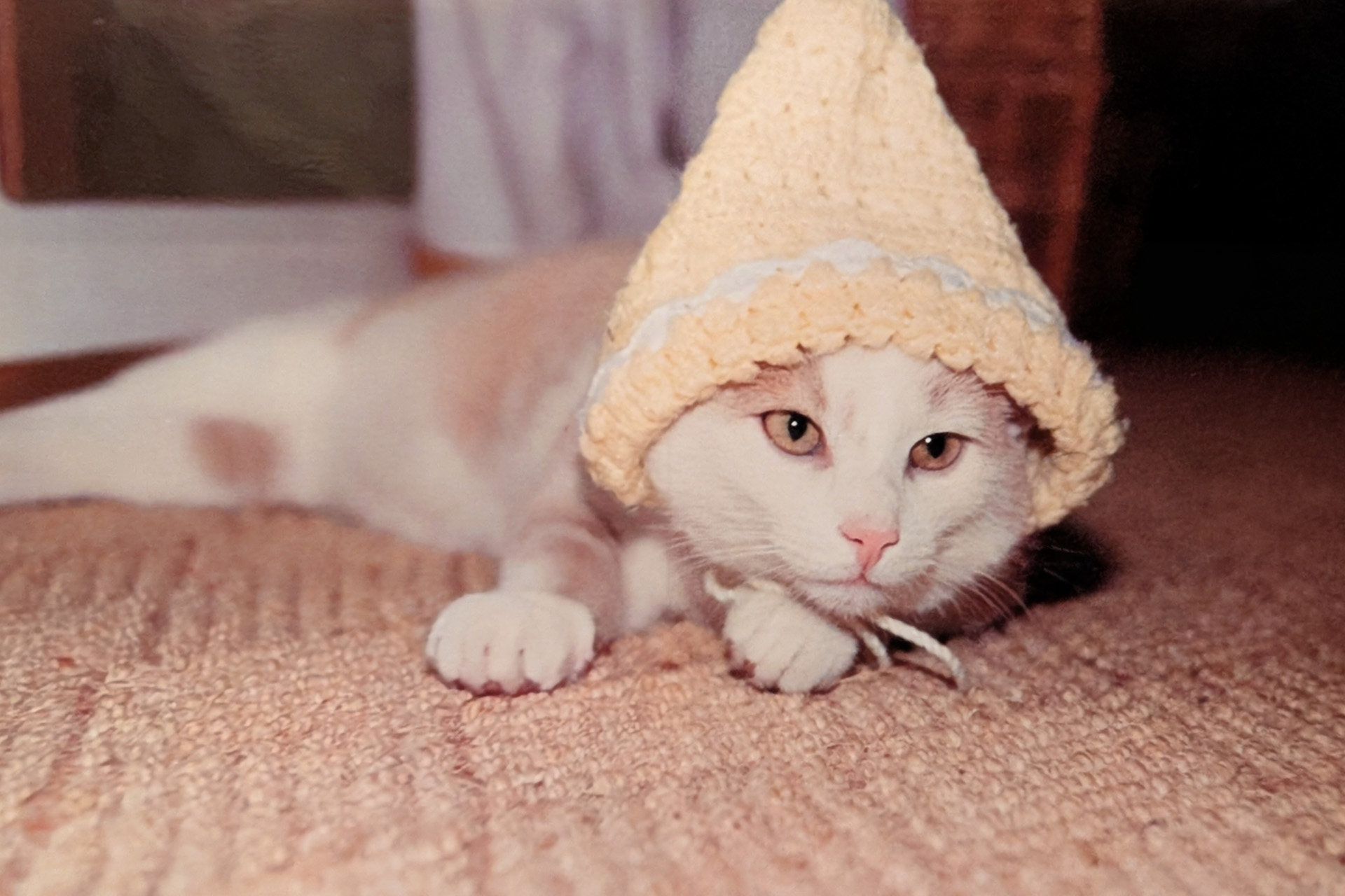 Rot-weiße Katze Mikesch mit gestrickter Zipfelmütze – Kindheitserinnerung aus dem Schwarzwald